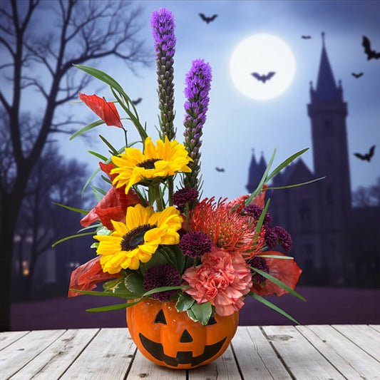 Jack-O'-Lantern Joy