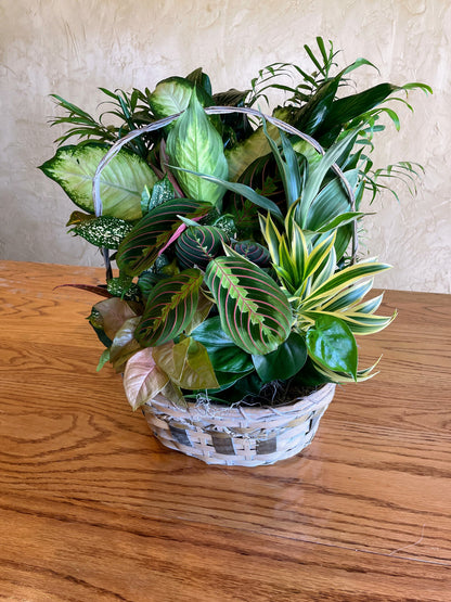 Mixed Garden Basket – SHELTON'S FLOWERS, Amarillo TX