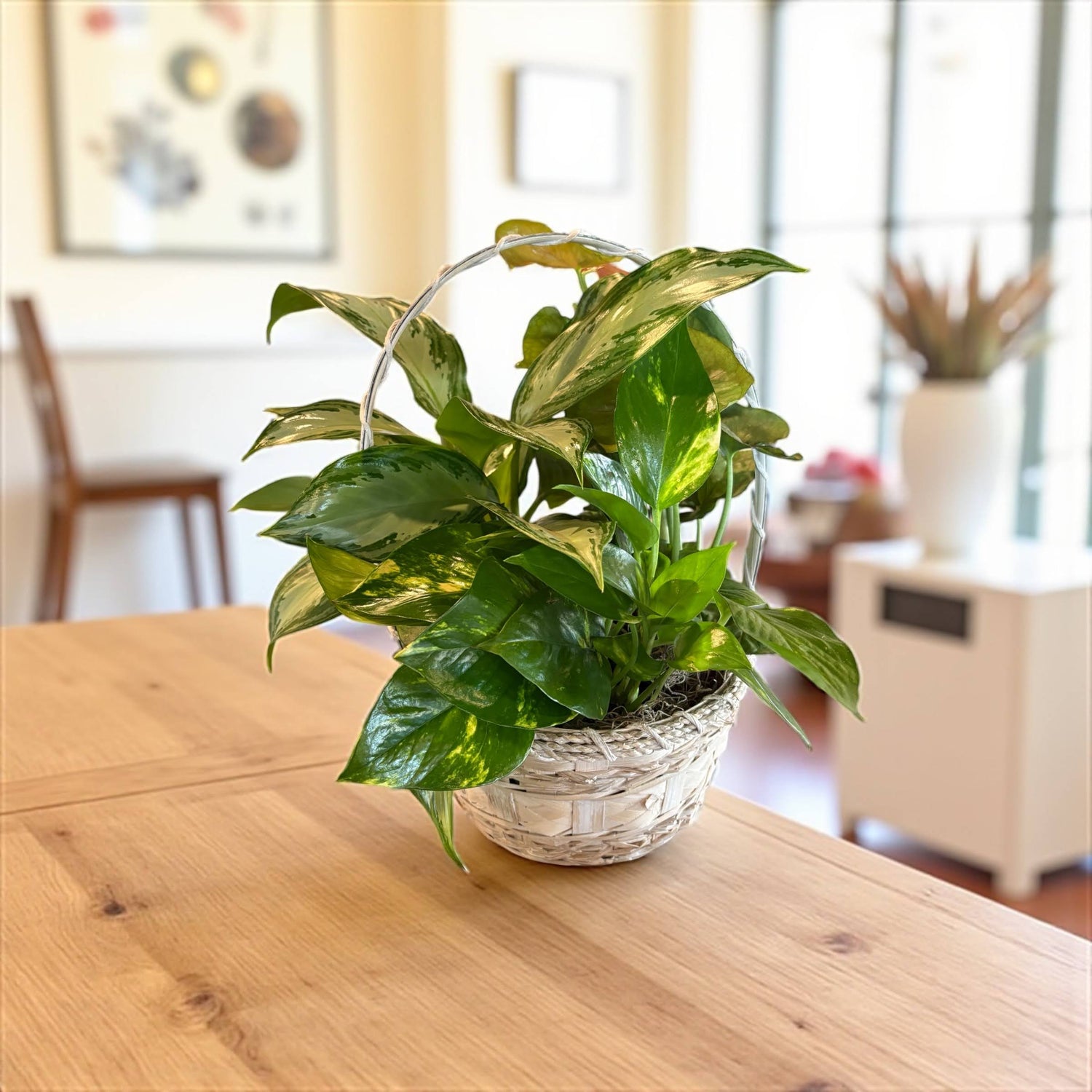 Small Mixed Garden Basket - Basket could be white or brown